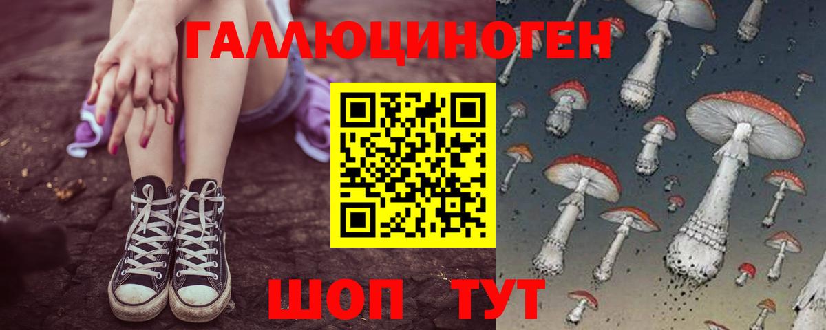 Можайск  Галлюциногенные грибы Magic Shrooms  Вход с VPN  Псилоцибиновые грибы мухоморы 